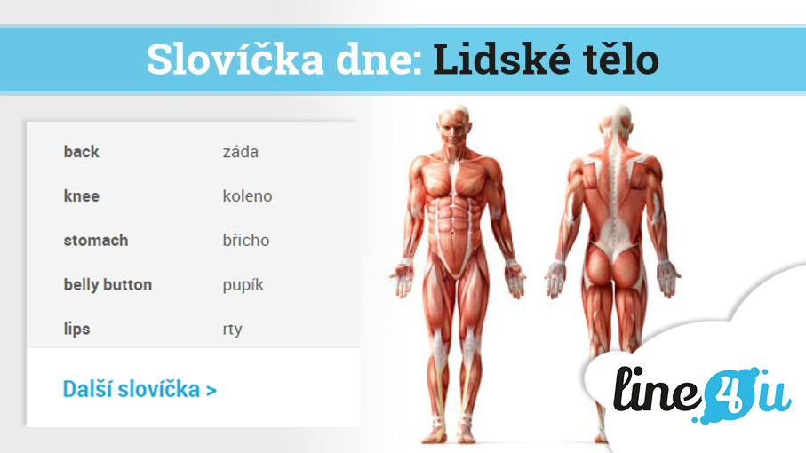Articles/61_underwear.jpg